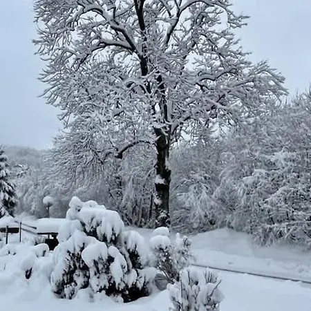 Tatil Evi Les Comtes De Savoie - Renove Proche Du Centre De Avec Vue Sur Le Mont D'arbois *