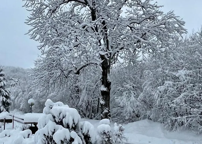 Les Comtes De Savoie - Renove Proche Du Centre De Avec Vue Sur Le Mont D'arbois